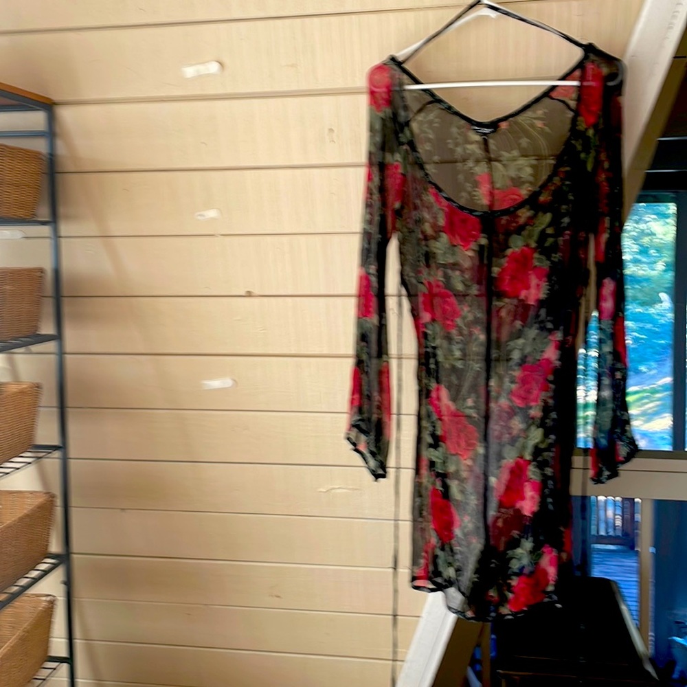 Betsey Johnson sheer mini dress, adjustable neckline